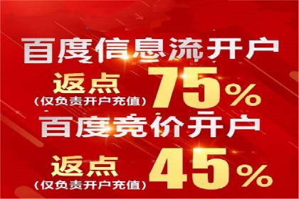 精准投放，高效转化——网站sem托管的胜利案例